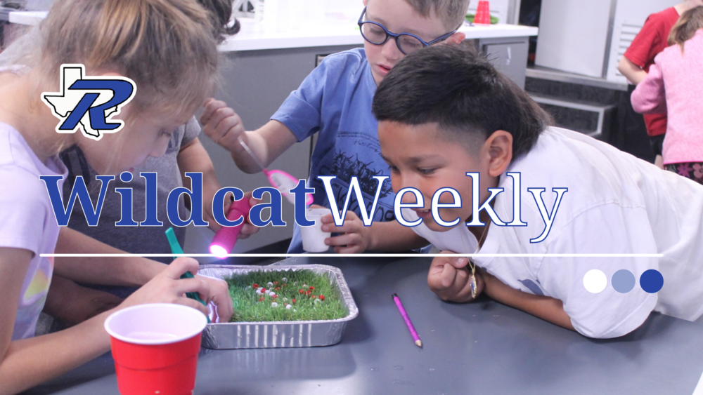Students leaned over a science experiment with the Wildcat Weekly logo across the center of the picture